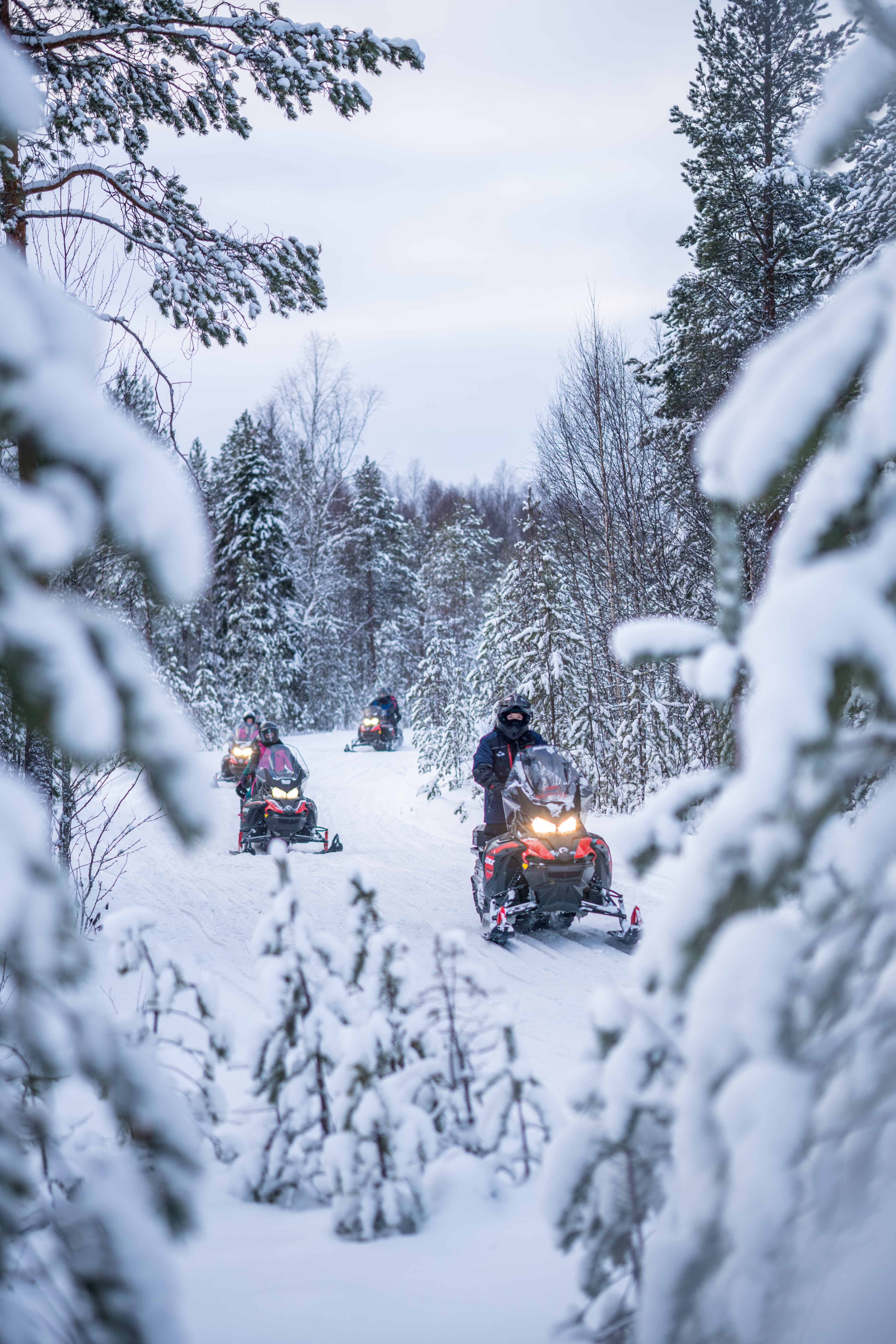 Snowmobile Safari with Snowshoeing