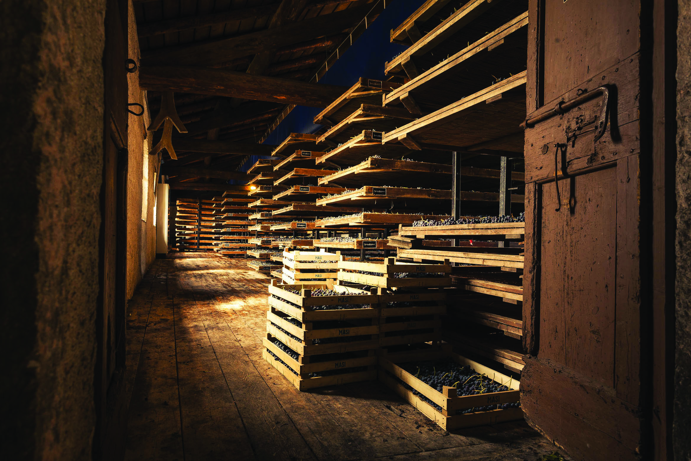 Verona area: Wine Tasting Experience in Valpolicella