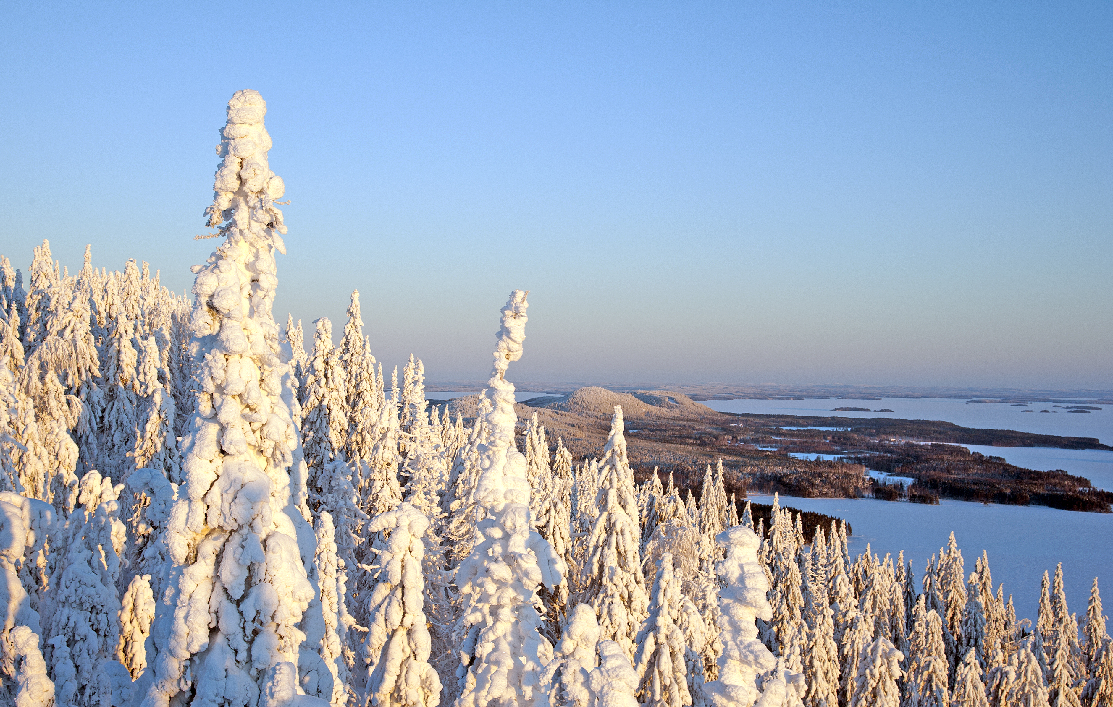 Guided Tour of The Tops - departures on saturdays at 11:00