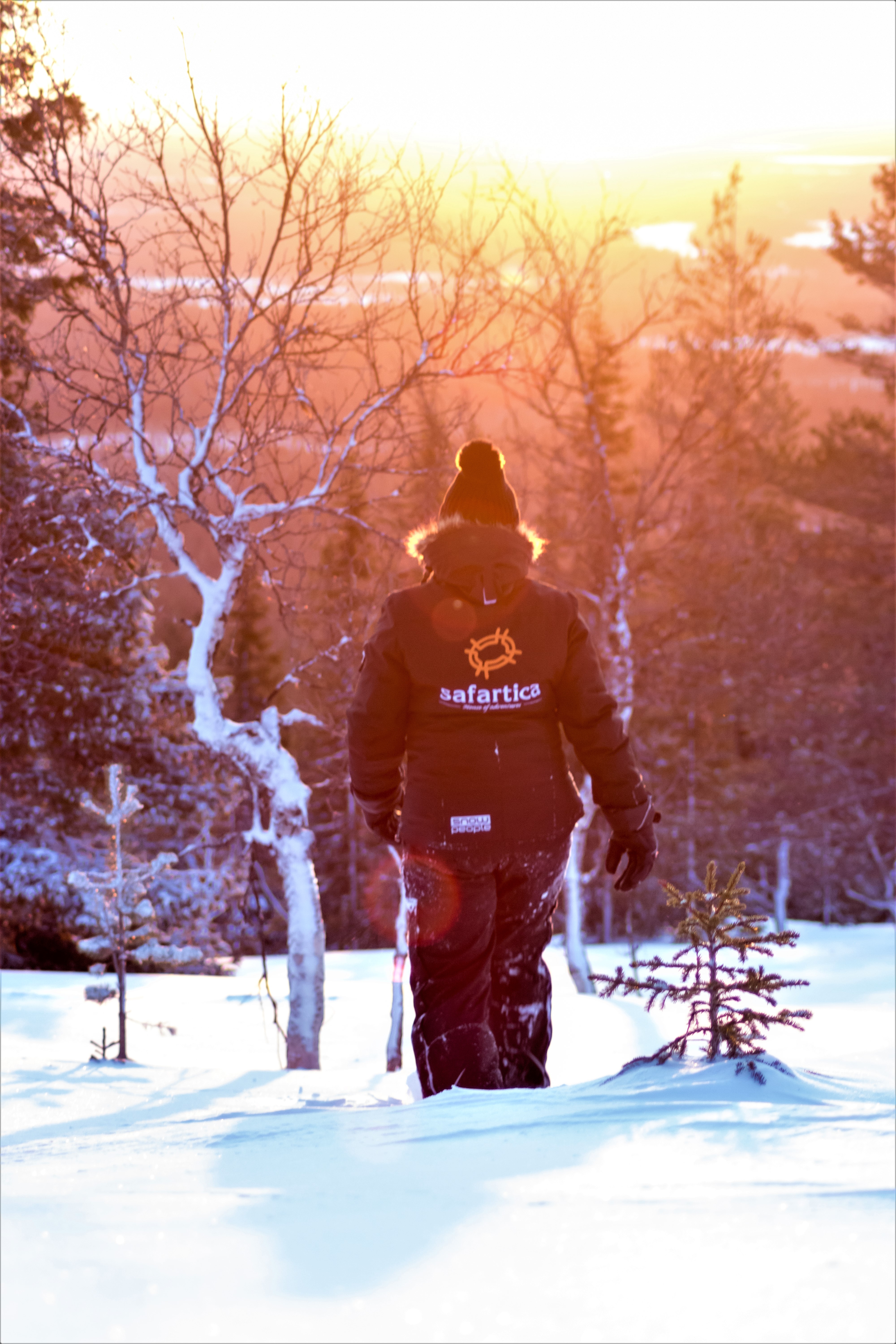 Scenic snowshoe trip in Levi