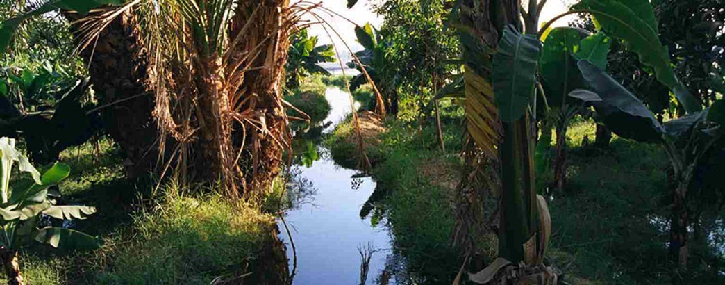 Fallucca Sailing Luxor & visit to Banana Island from Luxor