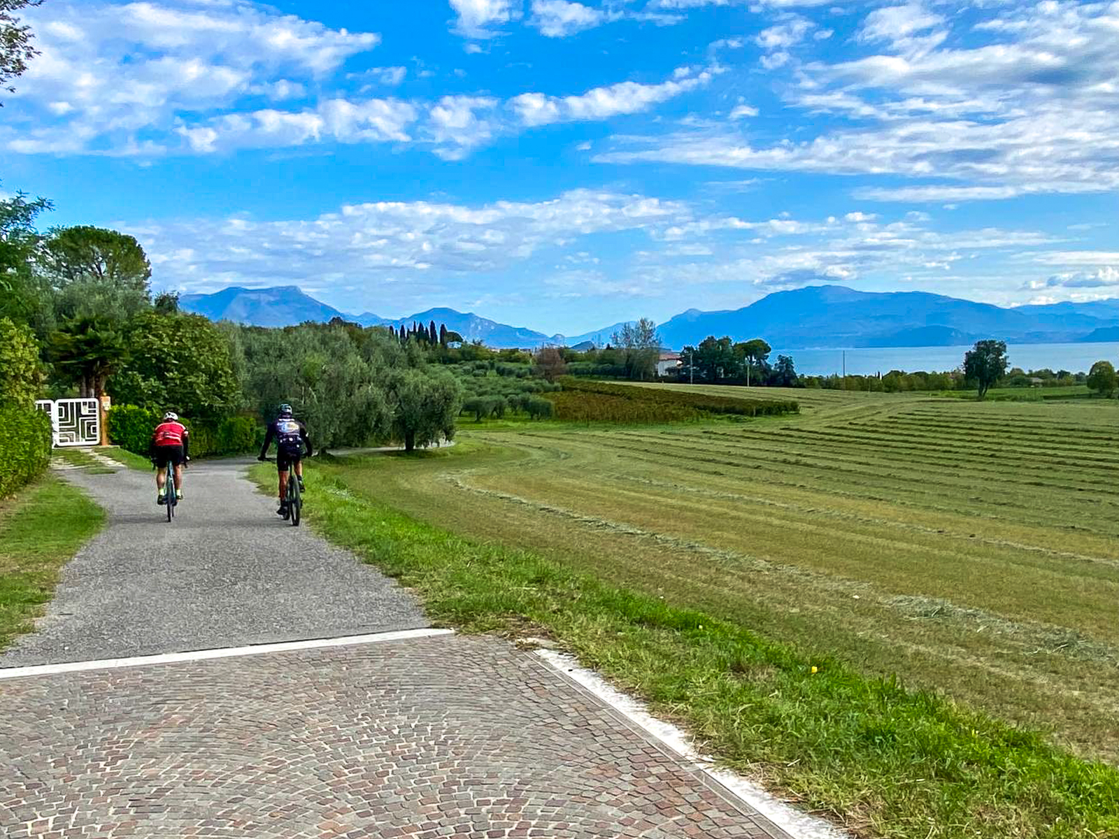 E-Bike tour from Desenzano with Wine Tasting