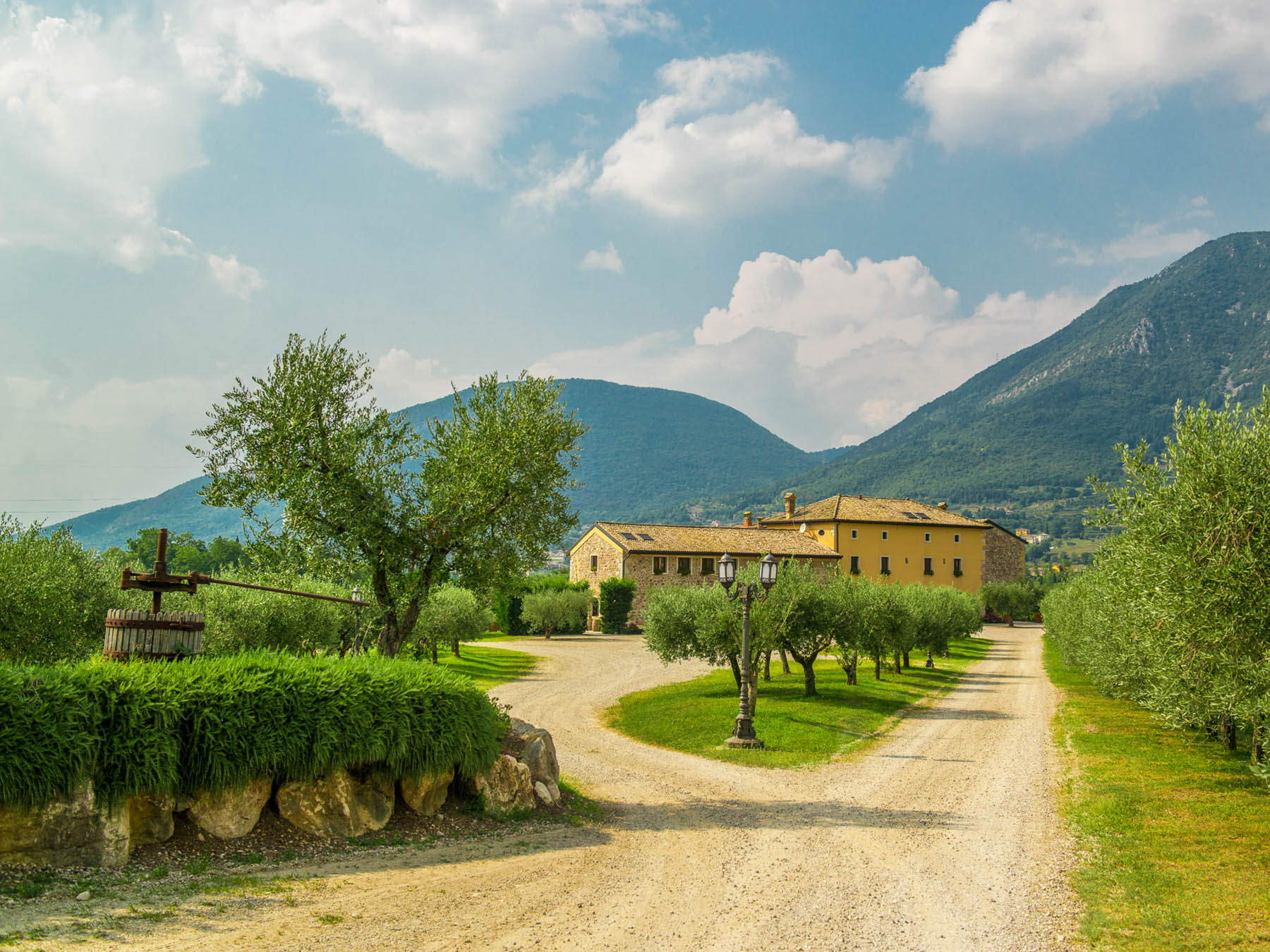 Wine Tour and Tasting on Garda Hills