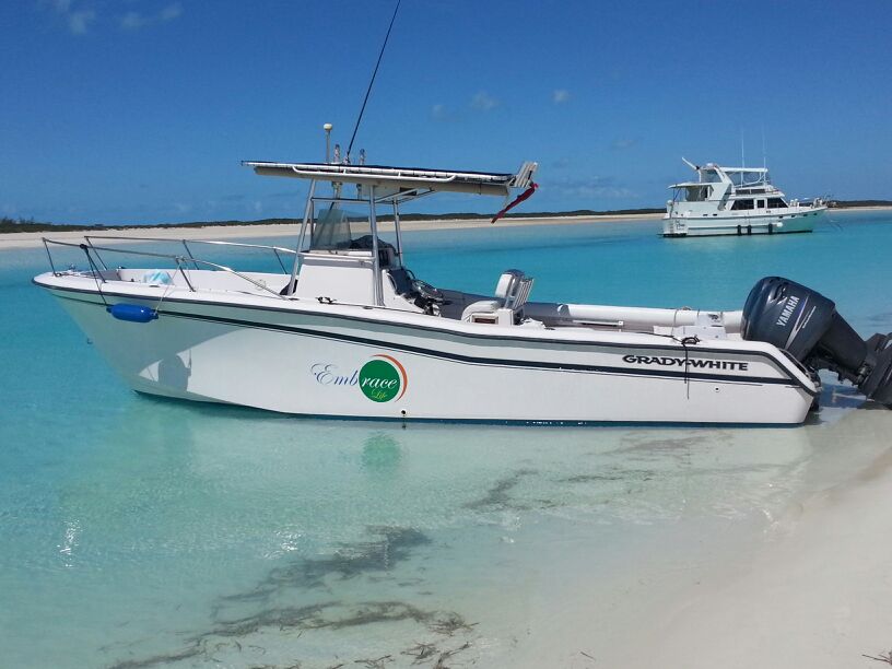 Private Swimming Pigs Tour from Nassau