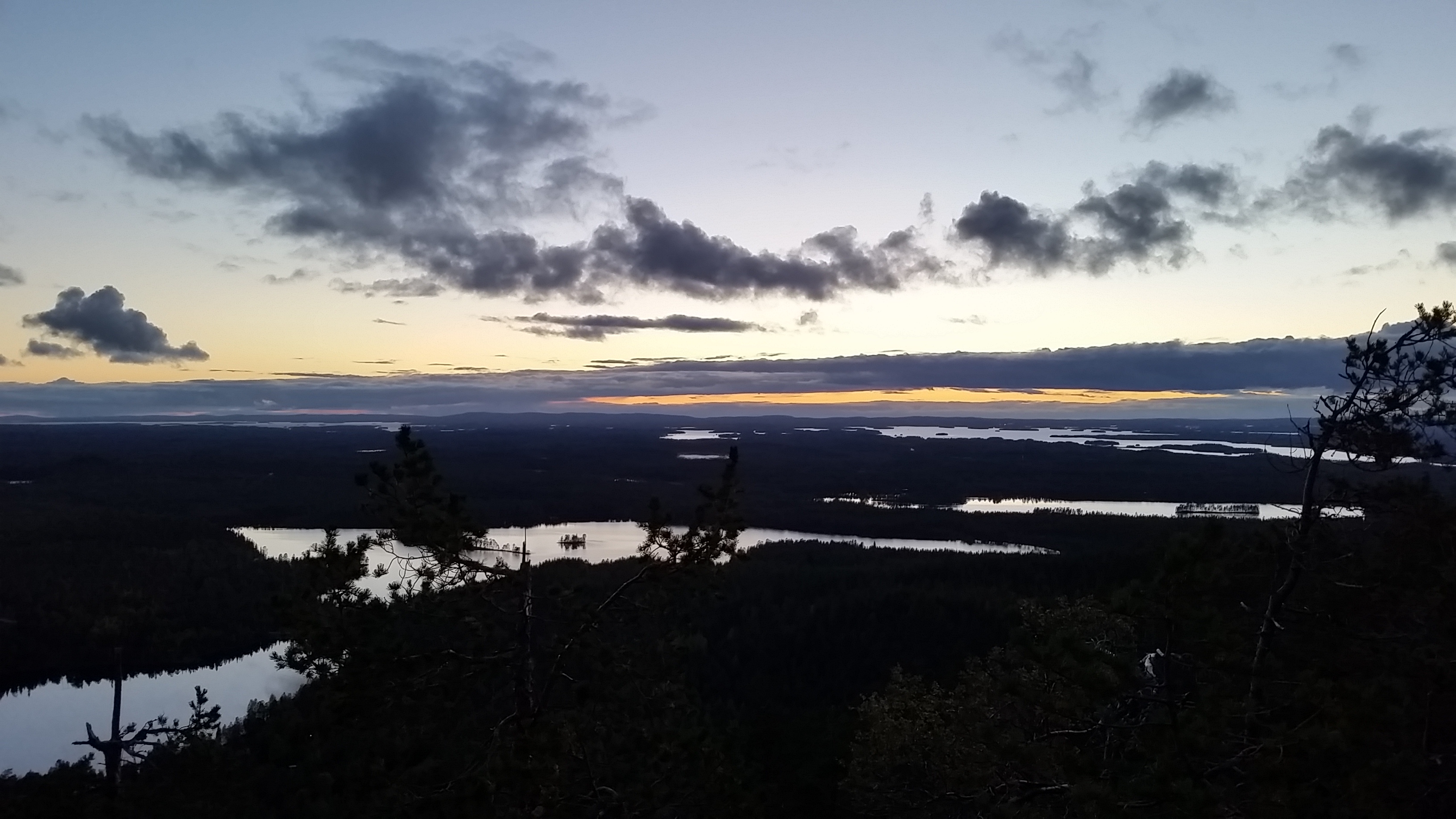 Forest yoga and nature walk