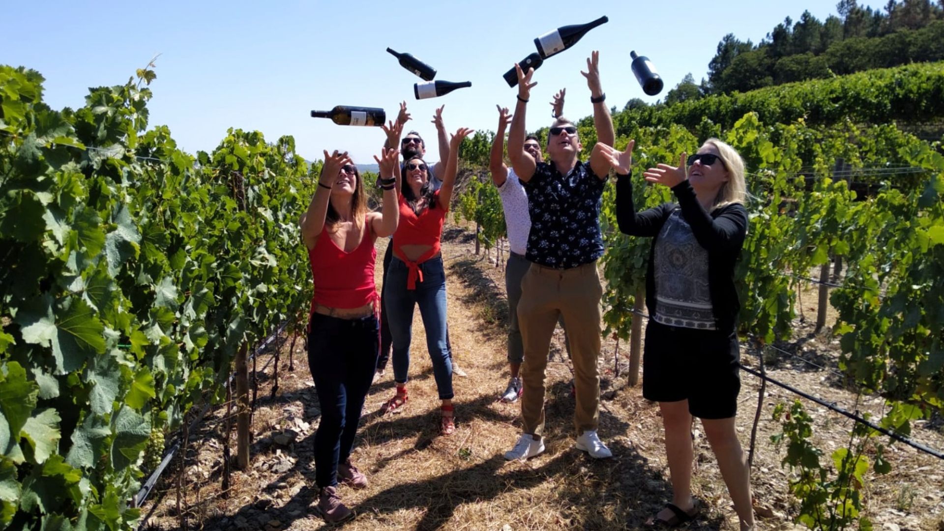 Douro Valley Small Group Tour with Wine Tastings, Lunch and River Cruise