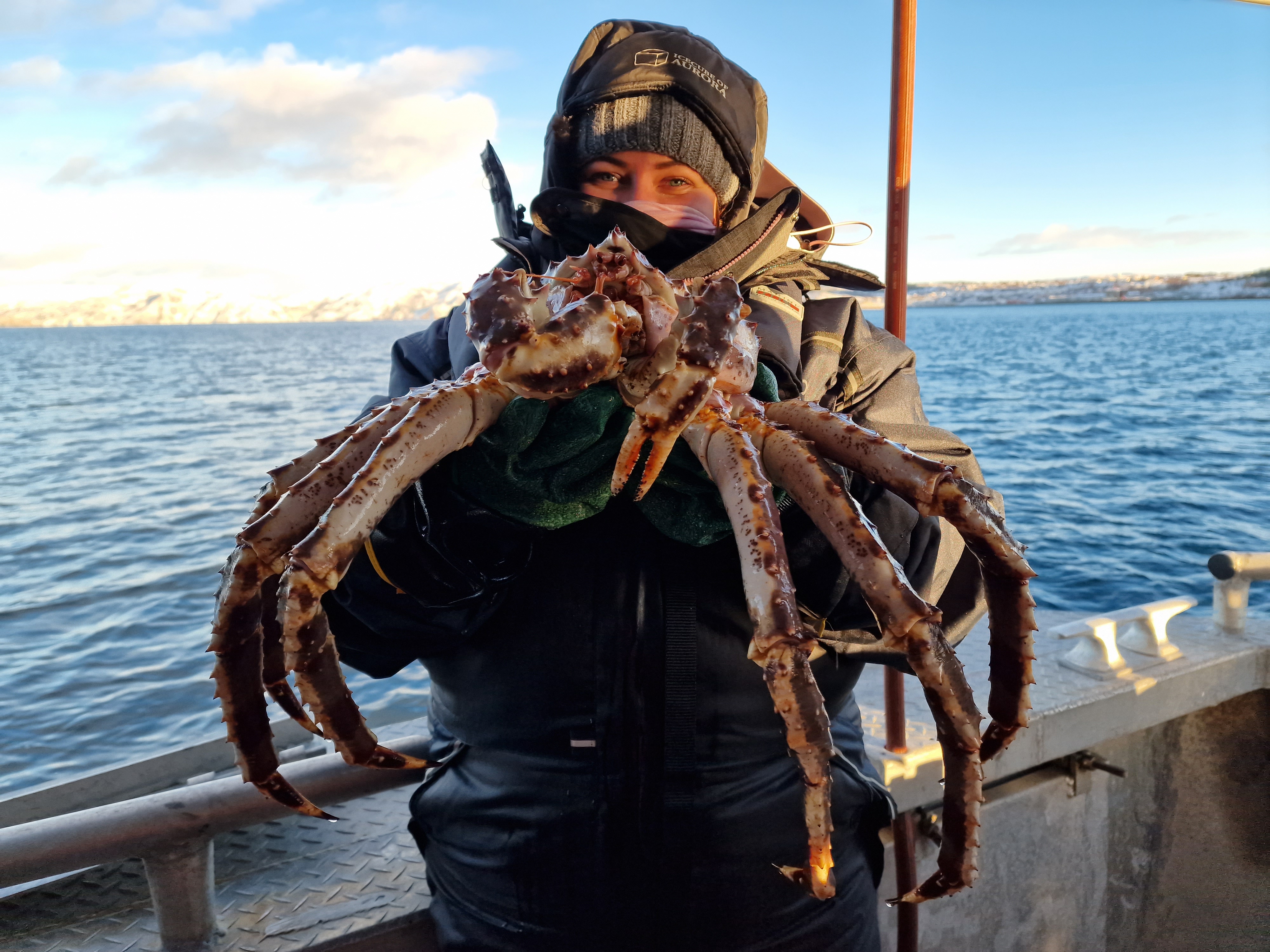 King Crab Tour (minus lunch)