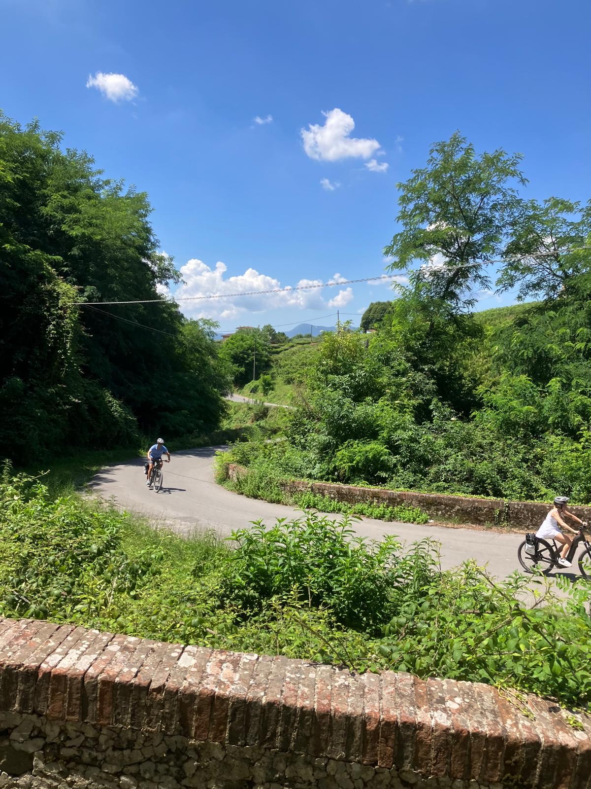 LUCCA : THE PUCCINI CYCLE PATH & MASSACIUCCOLI LAKE