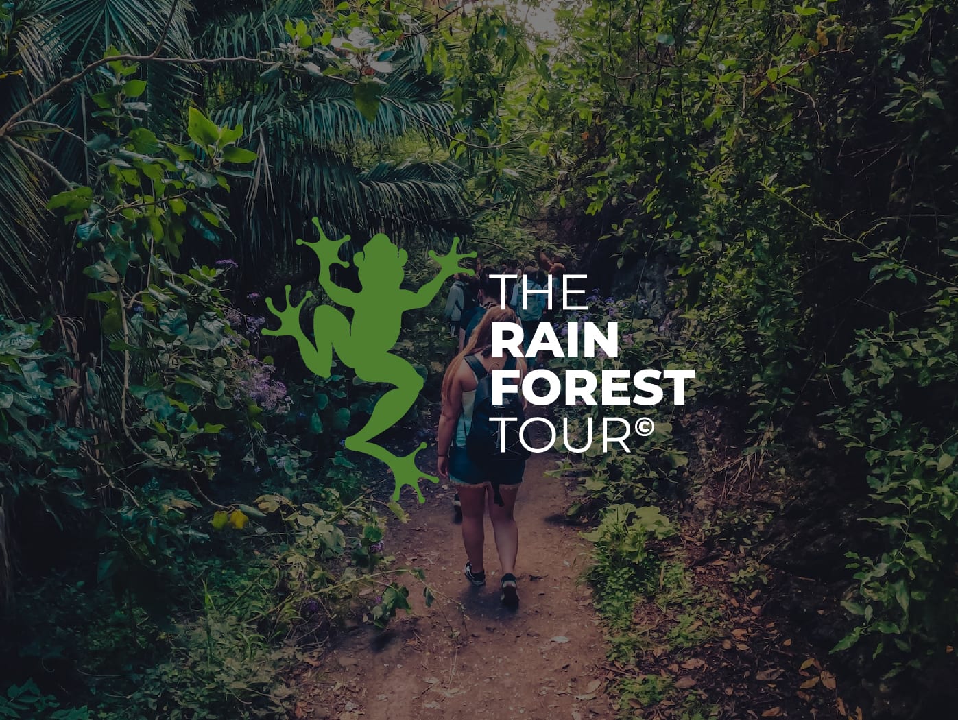 The Rainforest Tour - Small Group Trip with Tasting ツ