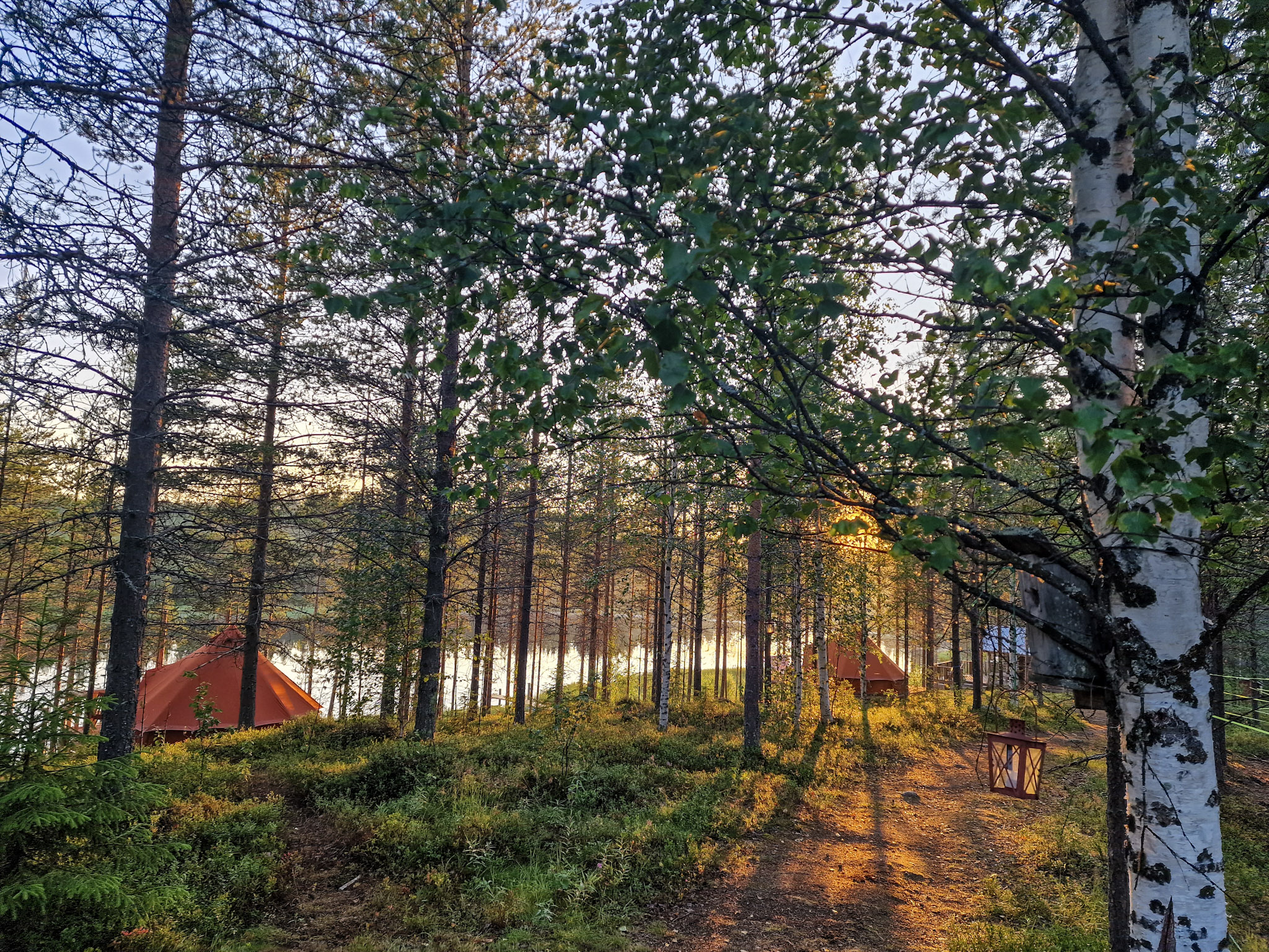 Lapland Horseback Retreat – 3-Day Summer Getaway