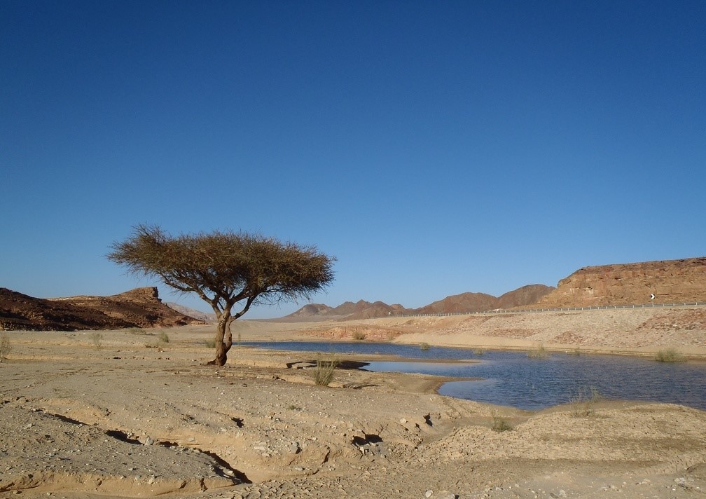 Private Old Virgin Canyon: Unveiling the Secrets of Sinai