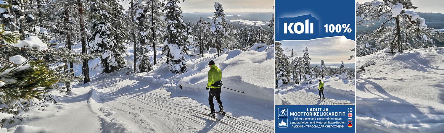 XC-skiing and snowmobile tracks