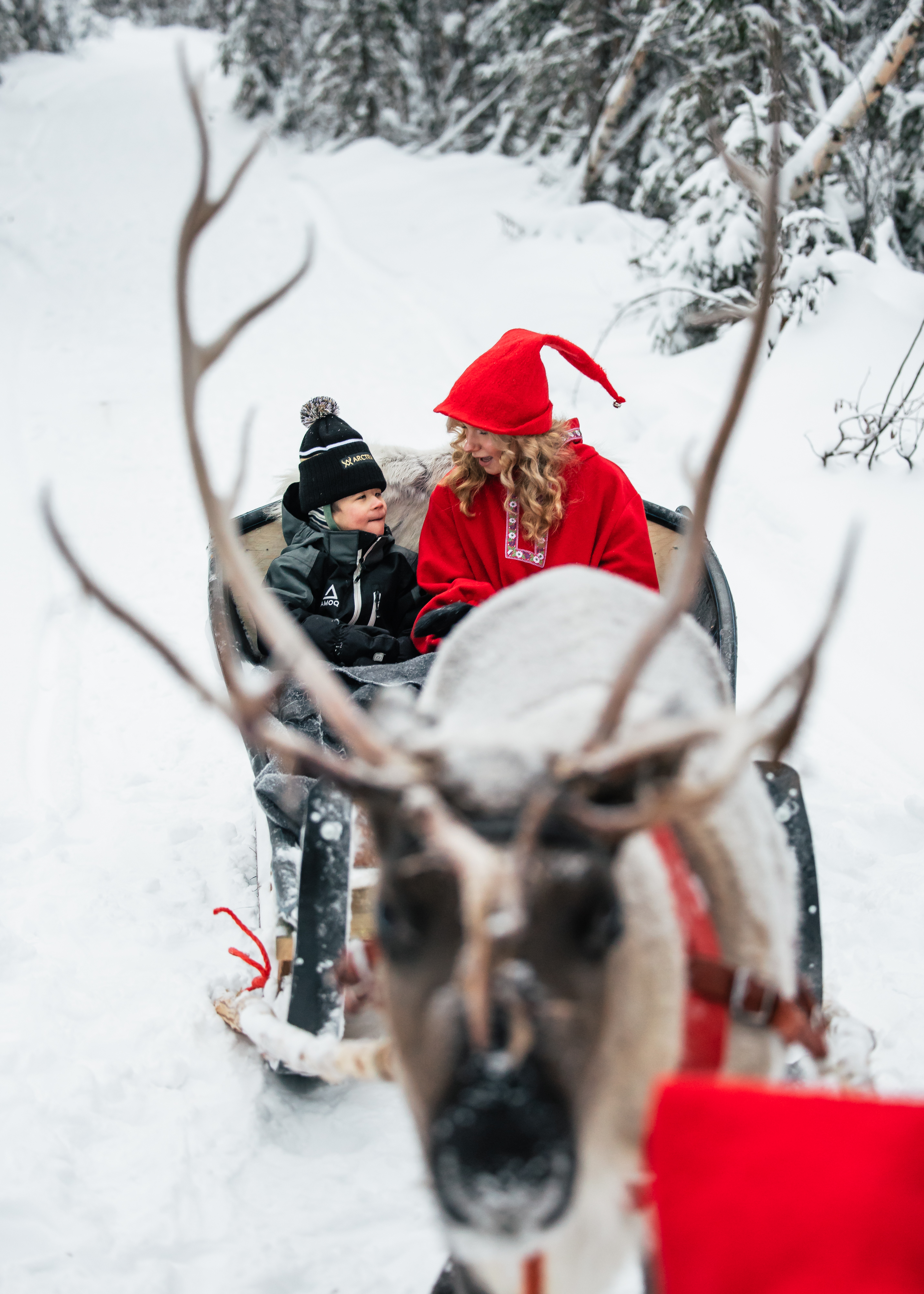 Traditional Reindeer Farm Experience: 2km Sleigh Ride & Feeding Adventure (Small group+Photography)