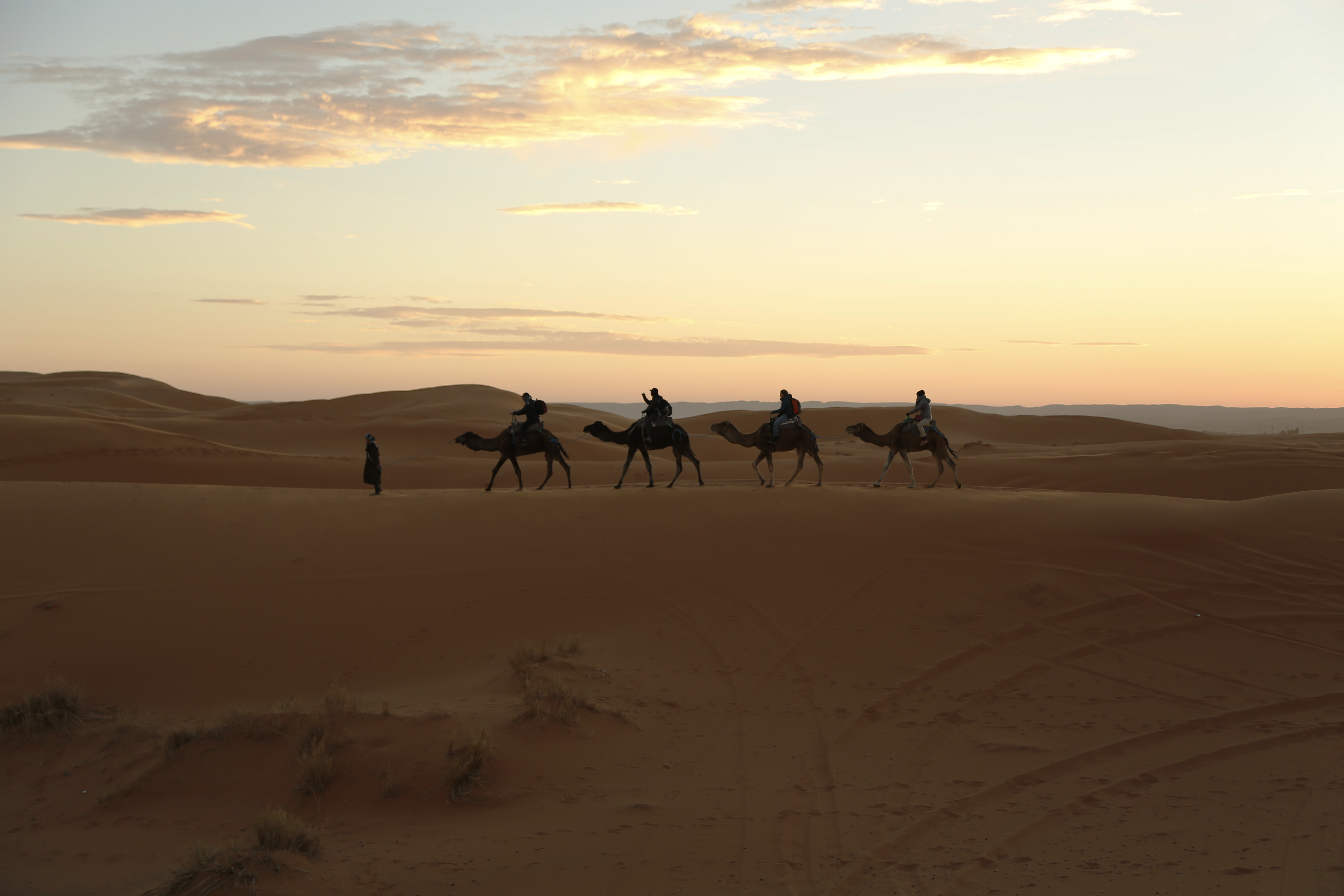 5 Days Toubkal Summit & Desert trip combined