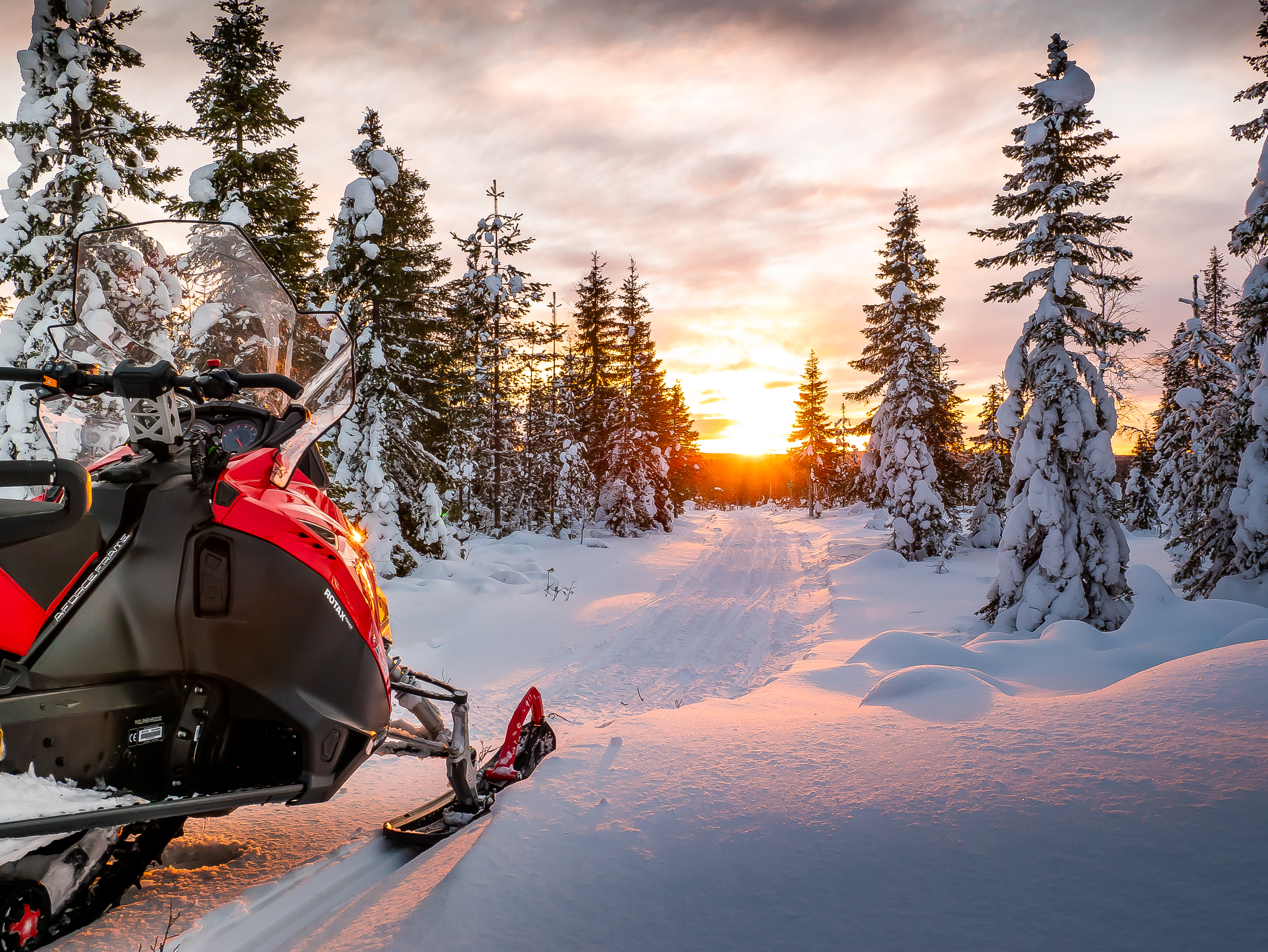 Private Snowmobile safari 1H