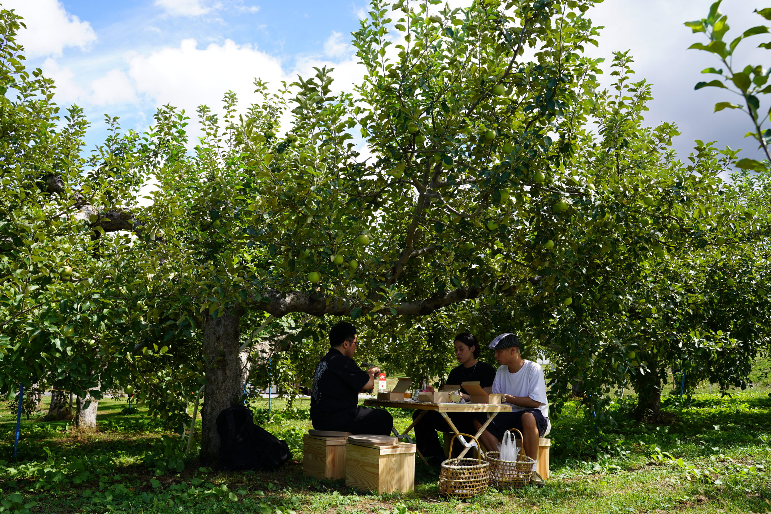 Apple Park Easy Picnic Plan