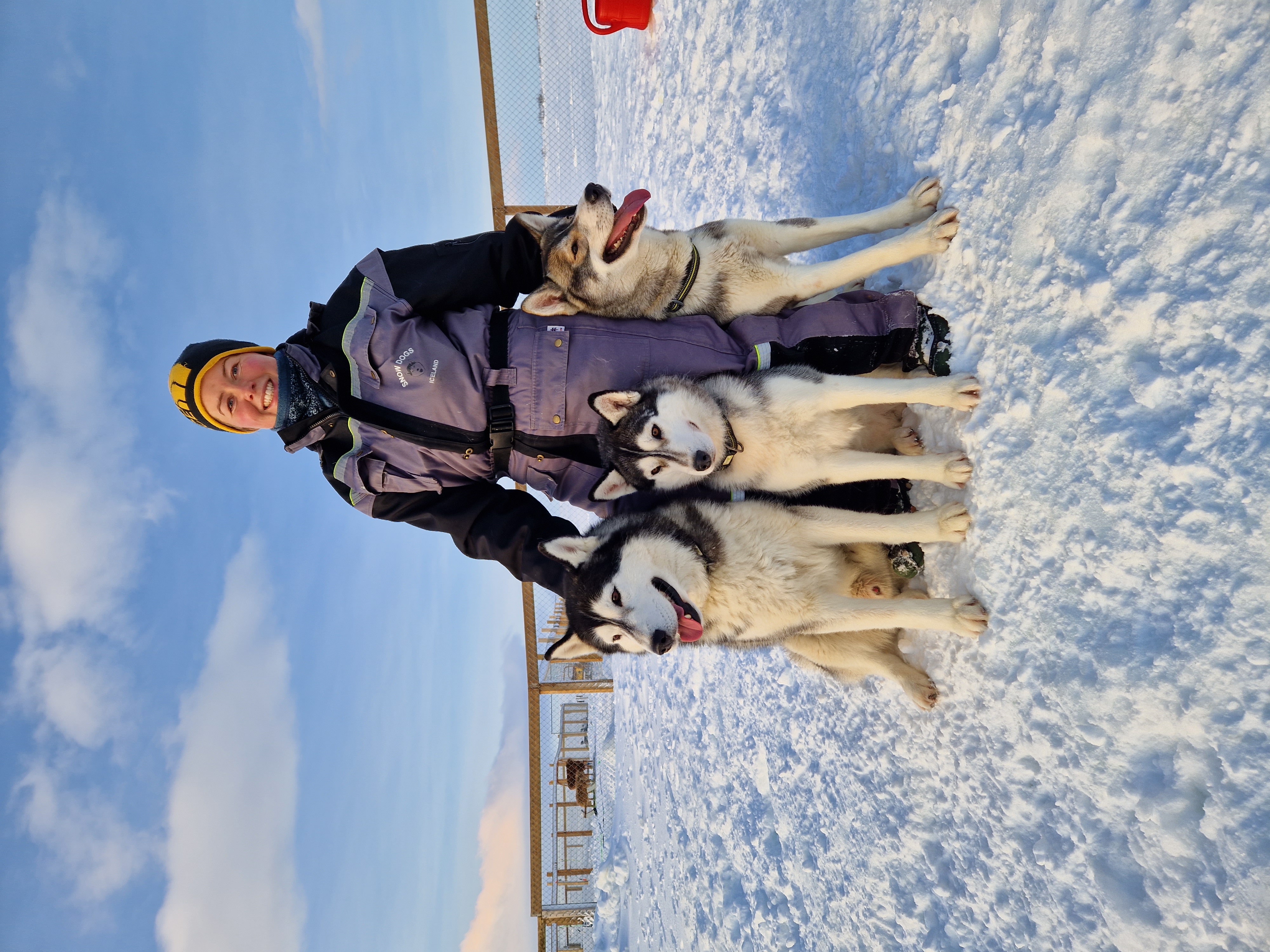 Siberian Husky Kennel Visit