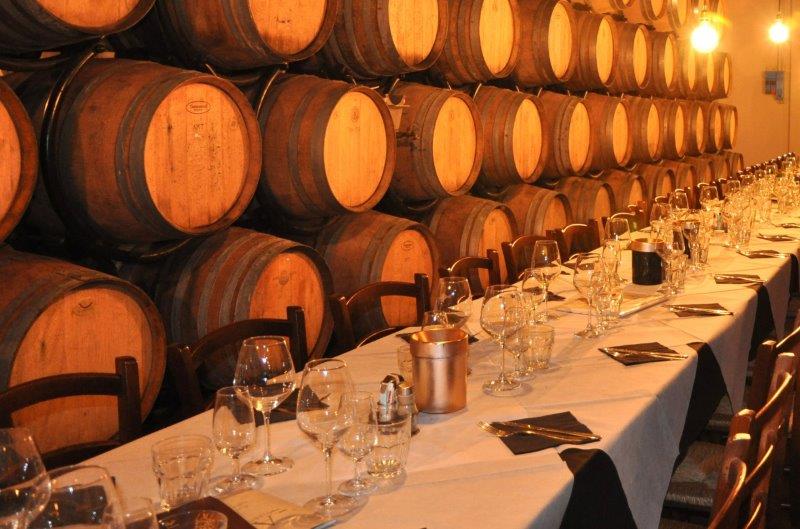 Wine Tasting Experience in San Gimignano Area