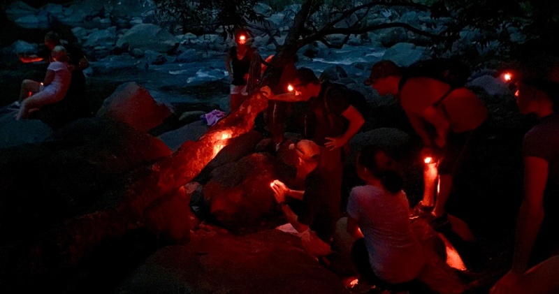 Twilight Rainforest Nature Walk