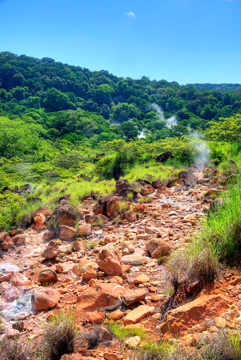 Hike to Las Pailas Trails at  Rincon de la Vieja National Park