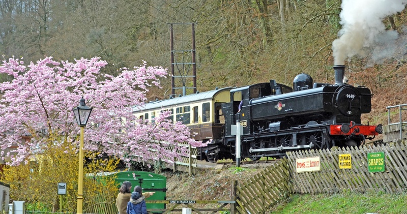 Evening Steam Dining Train