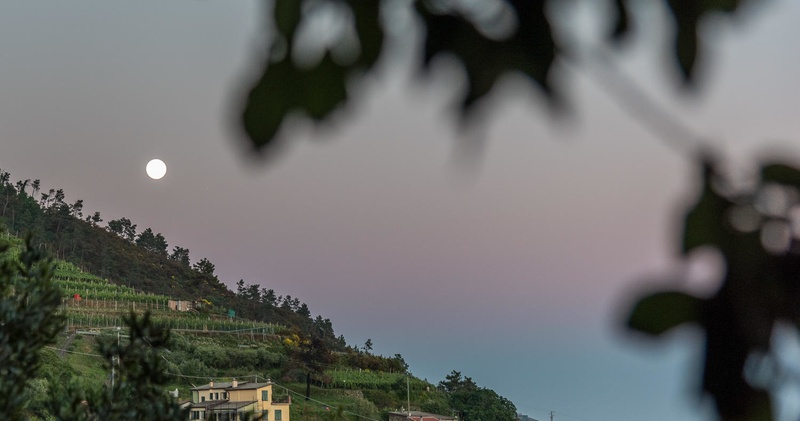 Night hiking: from Corniglia to Manarola- Private experience