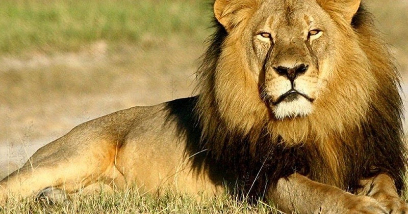 6 - DAYS WILDLIFE ADVENTURE KIDEPO AND MURCHISON FALLS