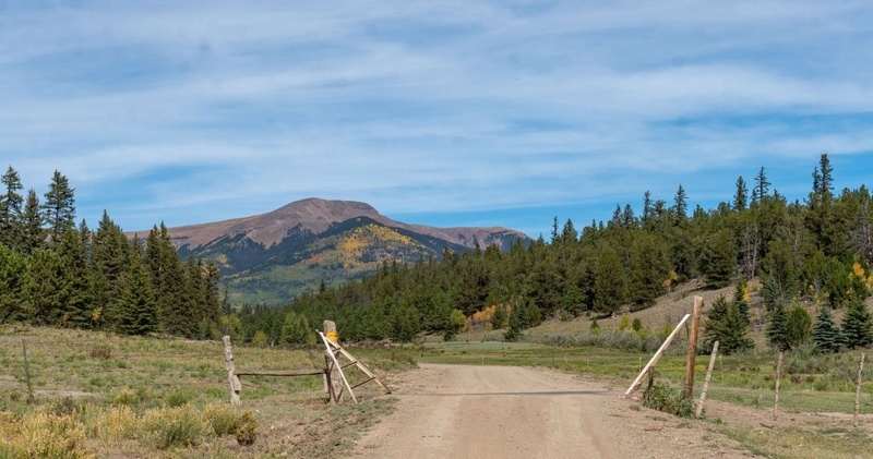 Full Day - Chubb Park