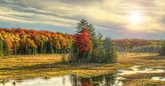 Four Day Paddleboard Rental