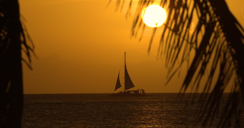 Sunset Cruise & 30 Minute Jetski Package