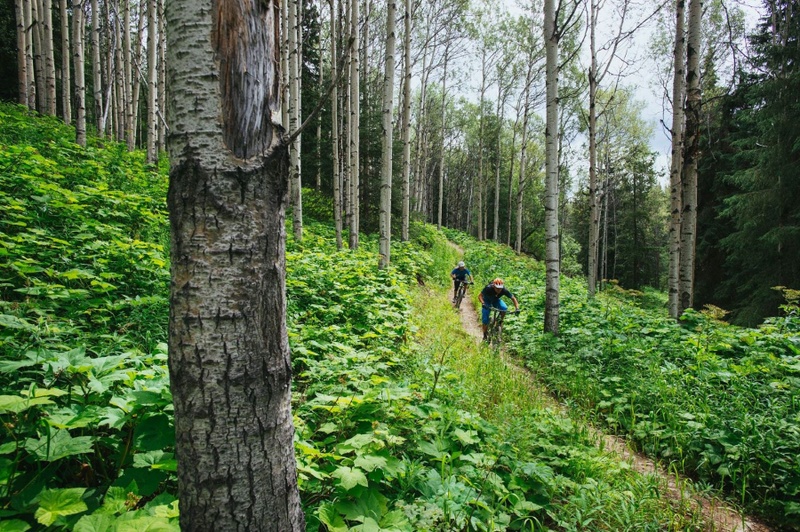 Two Hour Mountain Biking Tour