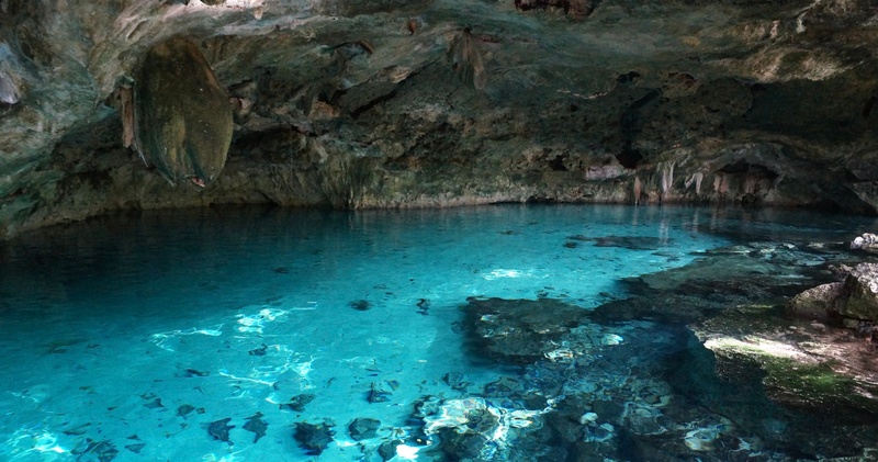 Dos Ojos Cenote Dive (From Cancun)