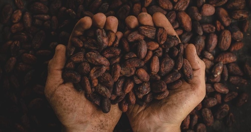 Villajoyosa "Chocolate" Segway Tour