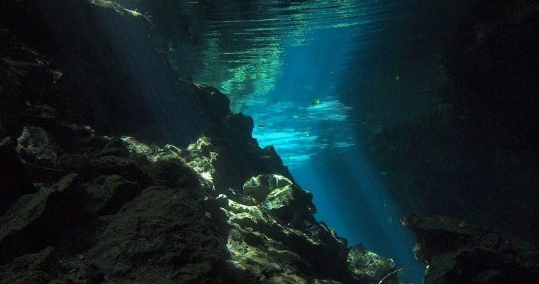 Dos Ojos Cenote Dive (From Riviera Maya)