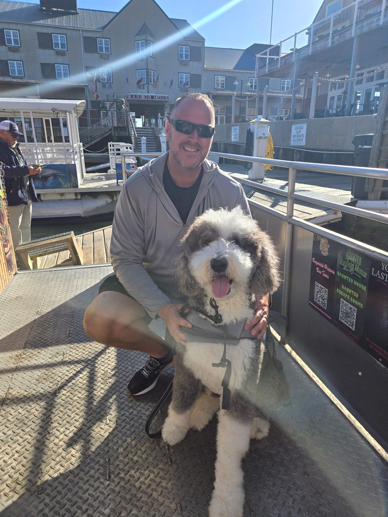 🐬 Baywatch Dolphin Tours – Dolphins & Galveston’s Historic Harbor Cruise