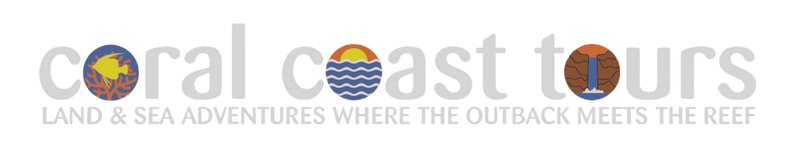 Southern Lights Sunset | Buggy Tour