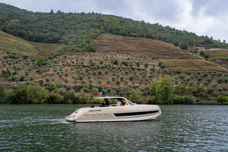 Passeio Fullday | Pinhão