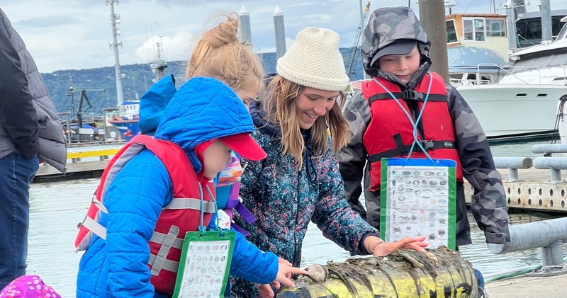 Creatures of the Dock Tour