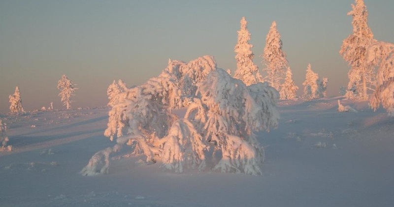 Snowshoe Tour - Introduction