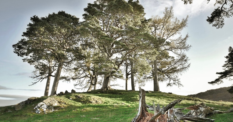 The 4 Day Outlander Experience