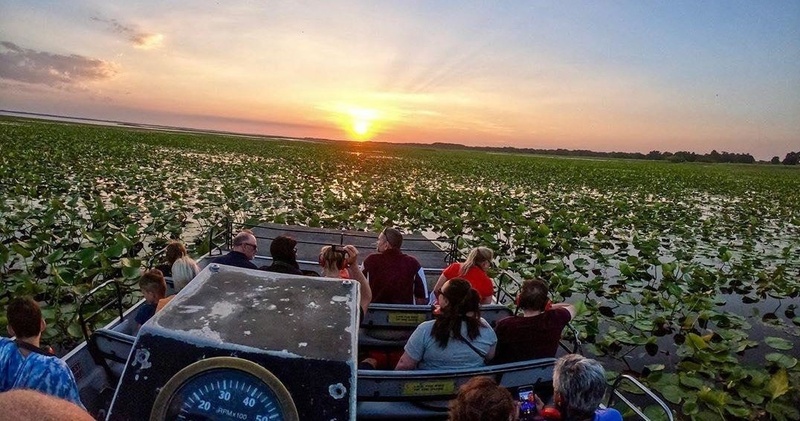 1 Hour Airboat Tour