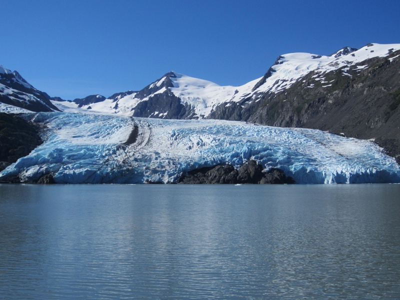 Glacier & Wildlife Explorer Tour