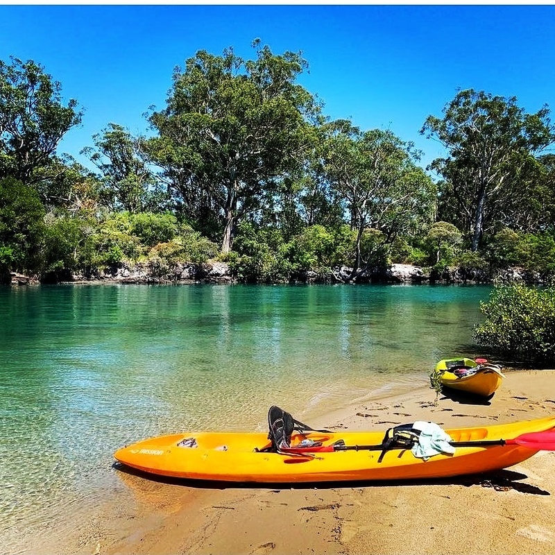 Kayak Eco-Tour