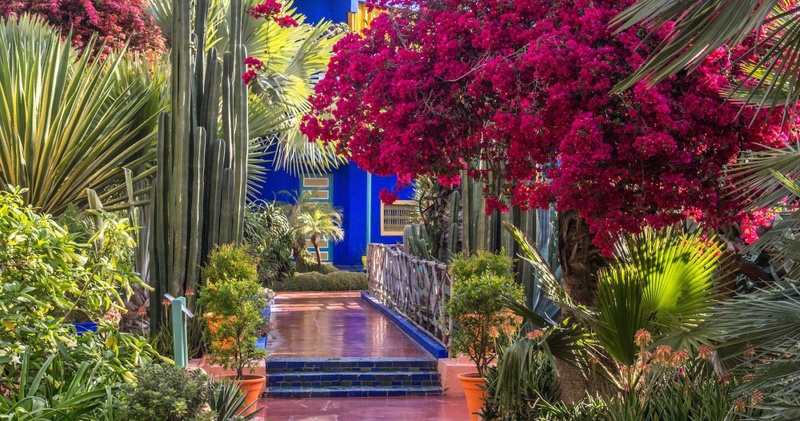 Marrakech - Botanical Tour