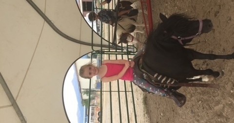 30 Minute Pony Rides