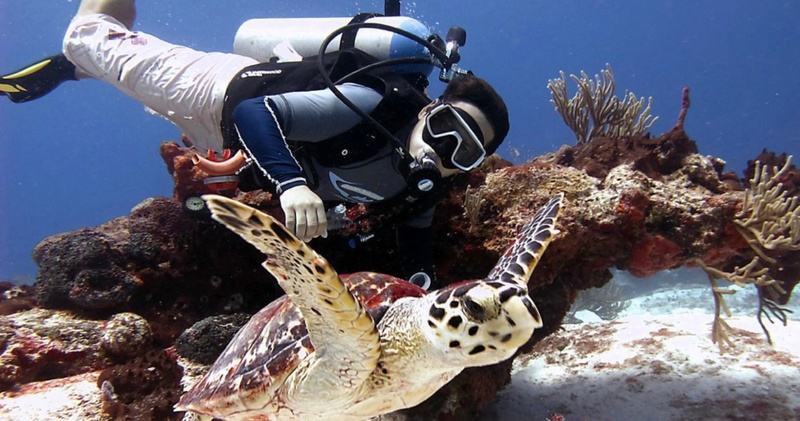 Divemaster Certification