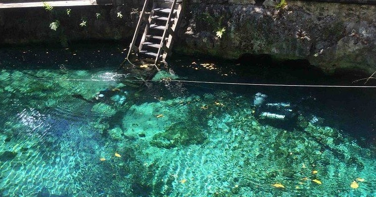 Car Wash Cenote Dive (From Riviera Maya)