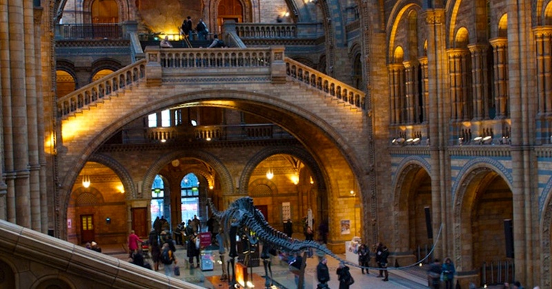 Natural History Museum of London Guided Tour - Private (Spanish)