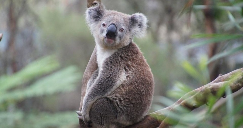 Hills To Sea Private Day Tour