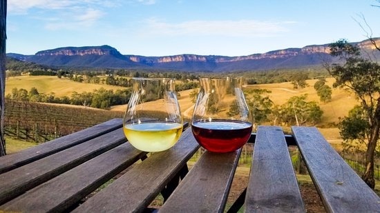 Blue Mountains Wineries Transfer